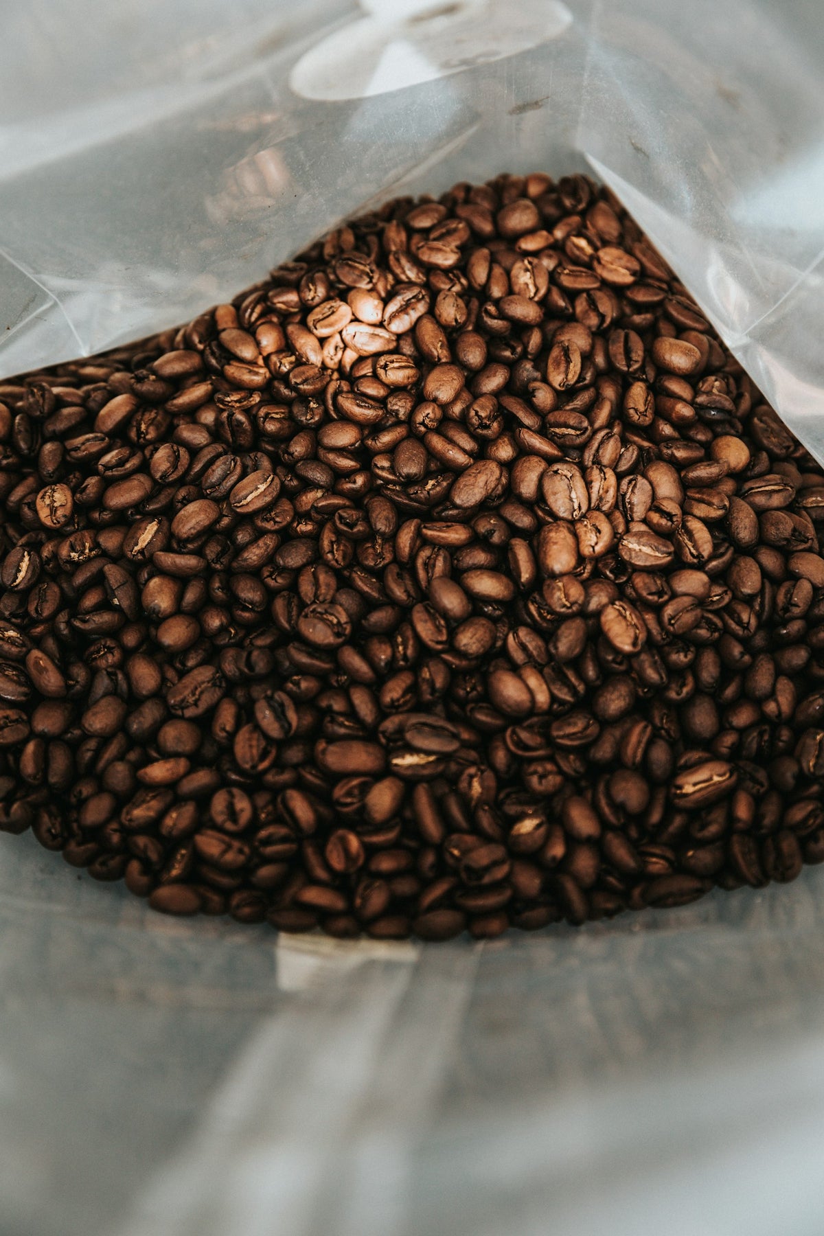 Grains de café vert et torréfié — origines